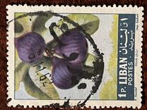 [Fruits, type JF]