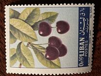[Fruits, type JE]