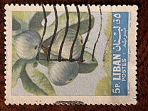 [Fruits, type JF1]