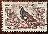 [Birds, Tipi LU]