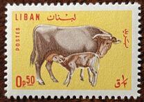 [Domestic Animals, jenis MI]