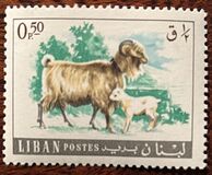 [Fauna - Domestic Animals, type OV]