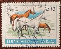 [Fauna - Domestic Animals, type PA]