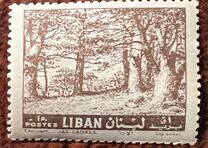 [Cedar of Lebanon, Zahle, tegund HV1]