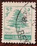[Cedar of Lebanon, tegund GD3]
