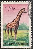 [Burundi Animals, Tipe BK]