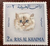 [House Cats, Tip DW]