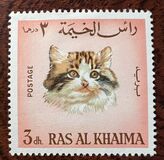 [House Cats, Tip DX]