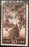 [Democracy - Italy Postage Stamps of 1945 Overprinted "AMG-FTT", 类型 Y10]