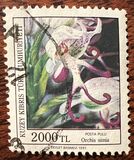 [Orchids, Typ KY]