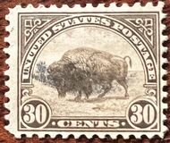 [Bisonte., tipo FH1]