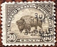 [Bisonte., tipo FH1]