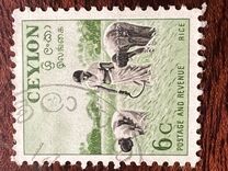 [Local Motifs, тып CL]