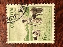 [Local Motifs, тып CL]