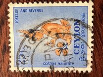 [Local Motifs, тып CN]