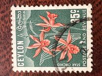 [Local Motifs, тып CO]