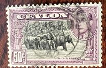 [King George VI - Local Motives, type BV]