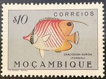 [Fish, Typ BZ]