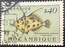 [Fish, Typ CE]
