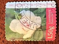 [Definitives - Roses, Tipe BVY]