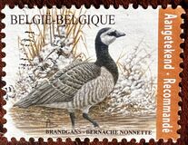 [Birds - Registrered Letter Stamp, Typ FDA]