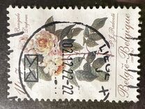 [Roses, tip BNK]