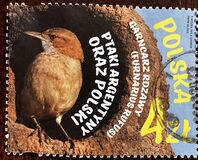 [Birds - Joint Issue with Argentina, type IRS]