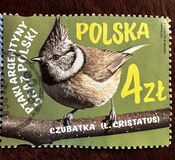 [Birds - Joint Issue with Argentina, type IRT]