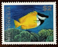 [Fish, type NO]