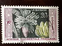 [Bananas, Tipo BT]