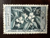 [Coffee Bush, type BH]