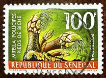 [Crostacei marini - Tipografia: Courvoisier (Helio Courvoisier) S. A. - Incisione: Pierre Opic, Scrivi HC]