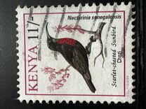 [Birds, Вид VI]