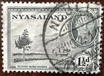 [King George VI, Local Motives, Tipe L]