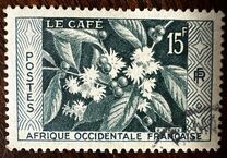 [Coffee Bush, type BH]