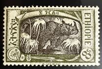 [Local Motifs, type AE]