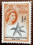 [Queen Elizabeth II and Marine Life, tip AB]