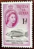 [Queen Elizabeth II and Marine Life, tip AC]