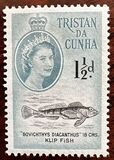 [Queen Elizabeth II and Marine Life, tip AD]