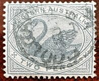 [Black Swan - New Designs, tip L]