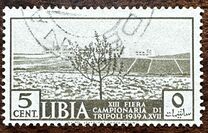 [Tripoli Fair, type AB]