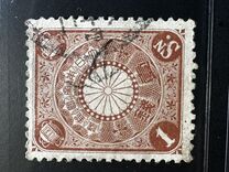 [Chrysanthemum, type AJ1]