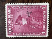 [Newfoundland Issue - New Colors and Values, tip DR2]