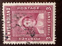 [Royal Family, type FN]