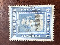 [Royal Family, type FO]