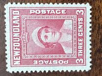 [Royal Family, type FN1]