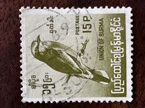 [Burmese Birds, tyyppi DJ2]
