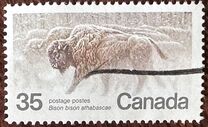 [Endangered Wildlife, type AAE]