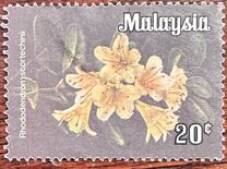 [Flowers - As Previous, Not Watermarked, tipas F2]