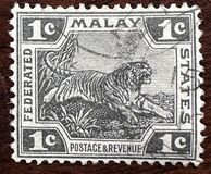 [Tiger - Different Watermark, type C40]
